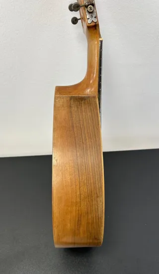 Bandurria Ricardo Sanchis Nacher