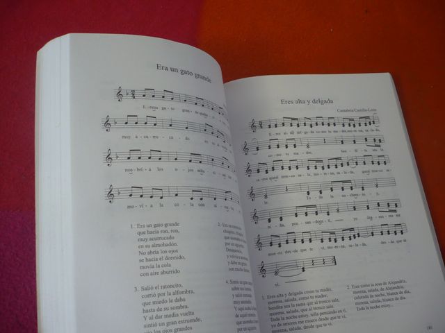 DIDACTICA DE LA MUSICA LA VOZ Y SUS RECURSOS