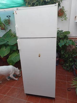 Frigorífico blanco en perfecto estado en TOMELLOSO