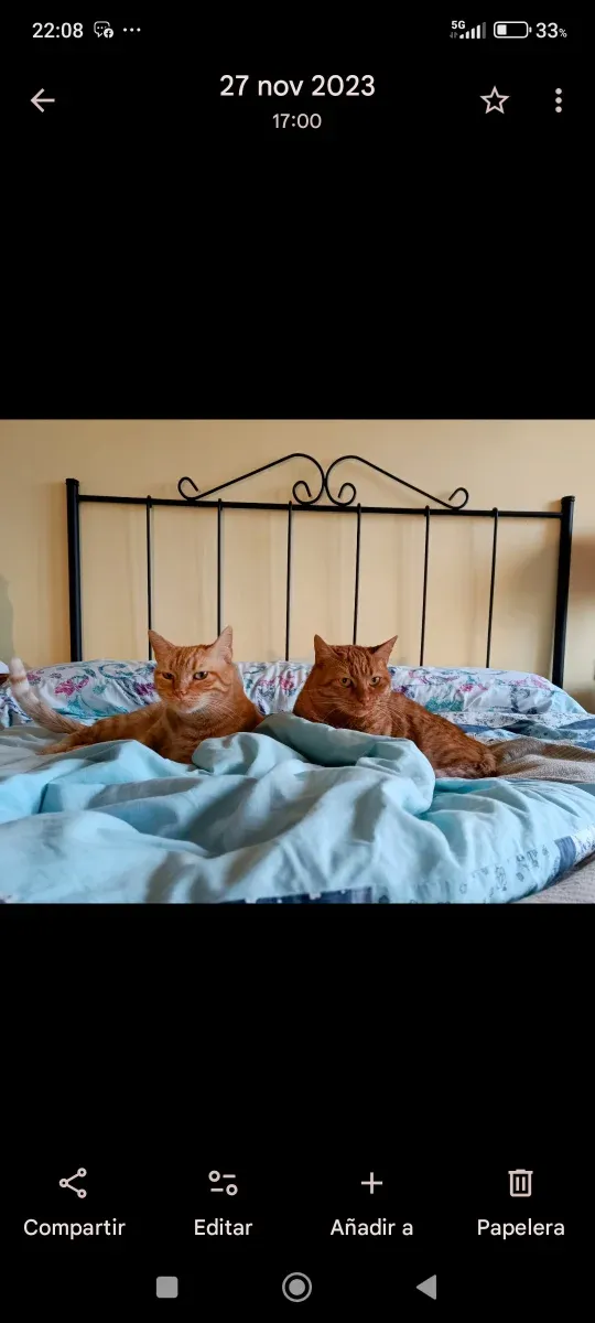 Cabecero de cama forja negro para cama de 135