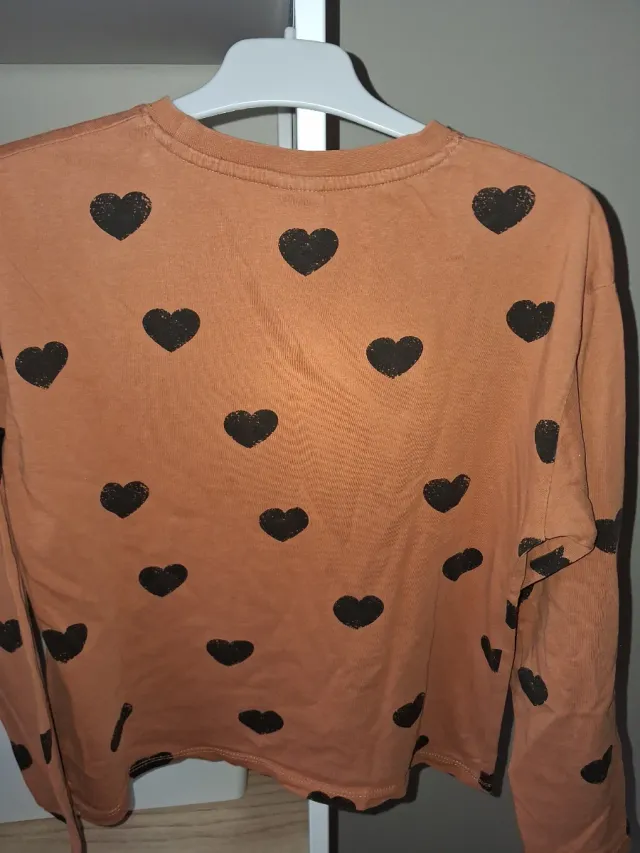 Zara Camiseta Manga Larga Niña Corazones