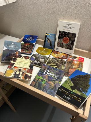 LOTE DE LIBROS NUEVOS MONTE LA RIOJA