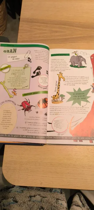El Larousse dels rècords