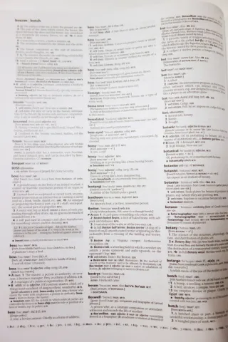 Shorter Oxford English Dictionary