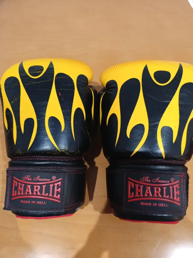 Guantes Boxeo Charlie 14 oz