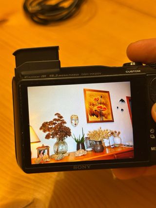 Digicam Sony HX20V | 18.2 MP | x20 | GPS y Full HD