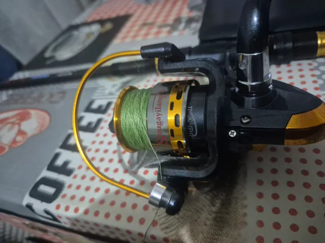 Caña de pesca con carrete