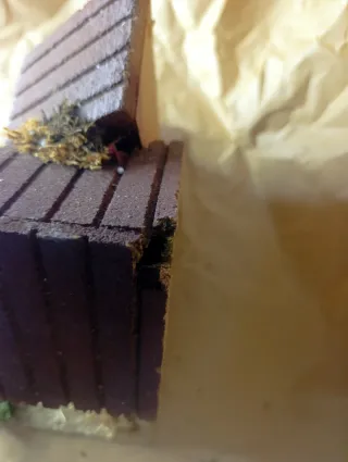 Posada Belén Navidad