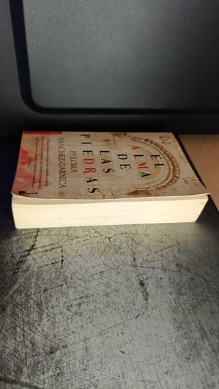 El alma de las piedras - Paloma Sánchez-Garnica