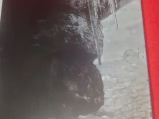 Steelbook Rise of the Tomb Raider.