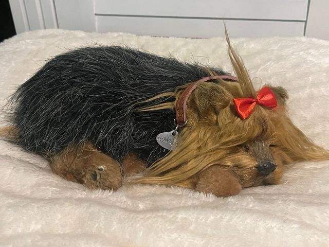 Peluche Yorkshire Terrier