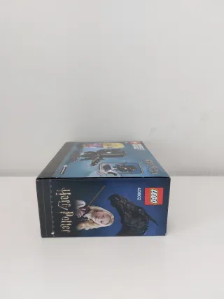 LEGO 40802 Luna Lovegood & Thestral Figures