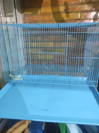 Pajarera azul