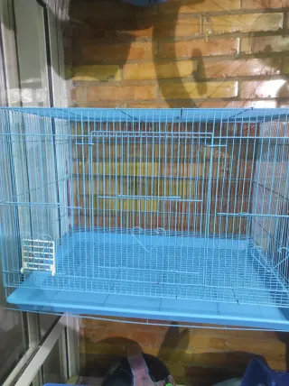 Pajarera azul