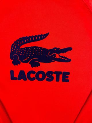 jersey lacoste sudadera talla M