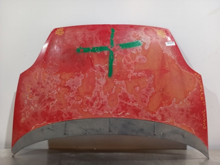 CAPO FIAT III EVO PUNTO (199) 199A2000