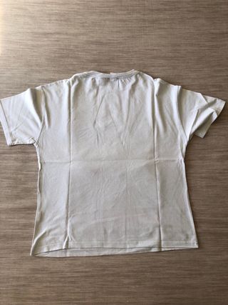 Camiseta Manga Anime Hatsune Miku