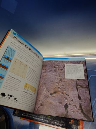 Tres libros gran formato sobre los dinosaurios