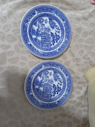 Set di 2 piatti decorativi blu