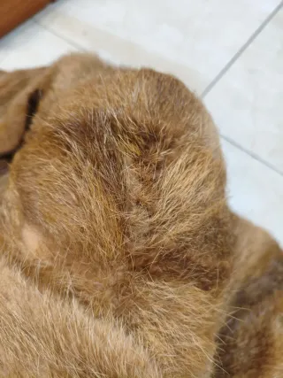 Chaquetón de zorro y piel