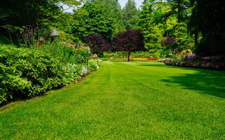 Se realiza todo tipo de jardinería.
696274173