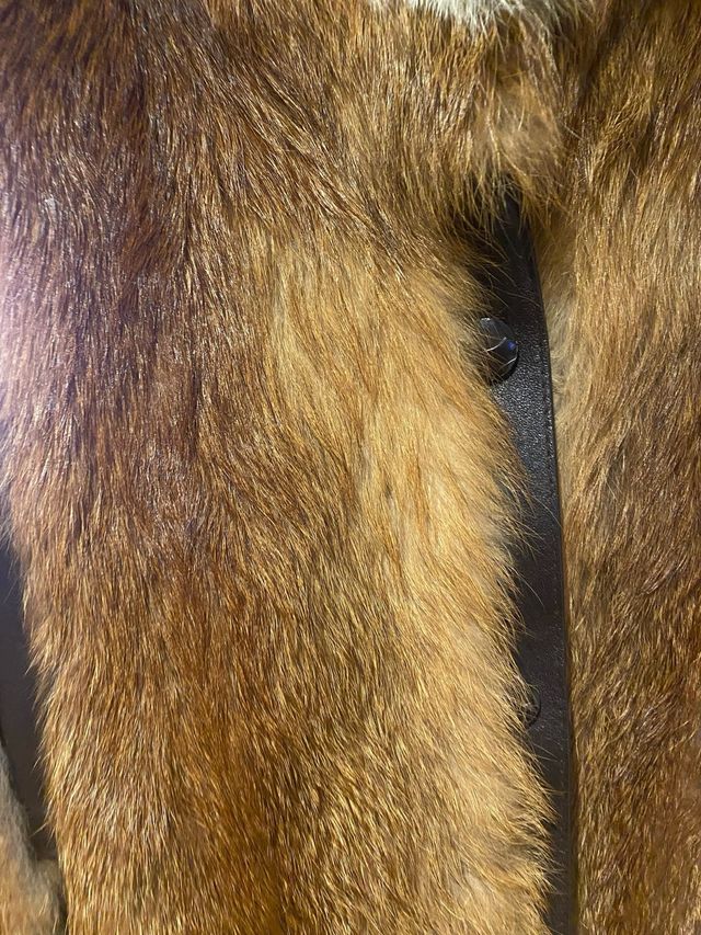 Chaqueta zorro rojo auténtica