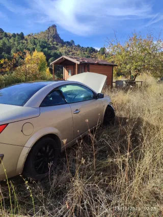 Renault Megane 2007 maual
