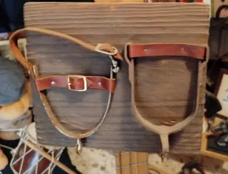 Cuadro decorativo equitación