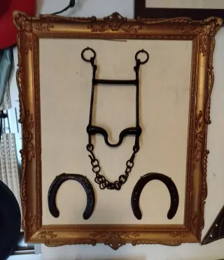 Cuadro decorativo equitación