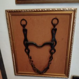 Cuadro decorativo equitación