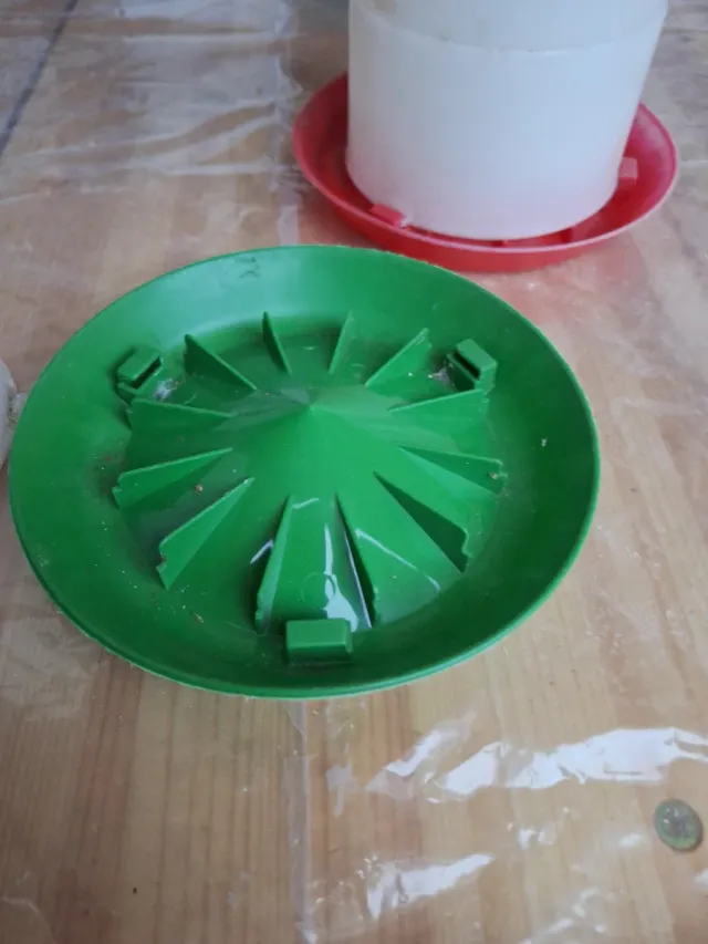 Bebederos para pájaros