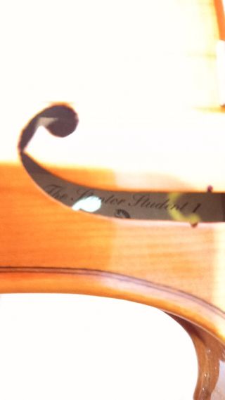 Violino vintage Stentor 4/4 con custodia