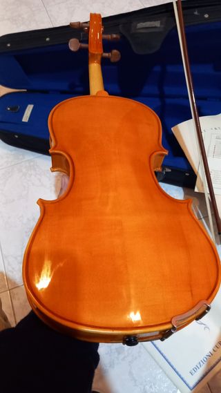 Violino vintage Stentor 4/4 con custodia