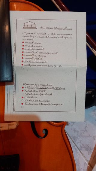 Violino vintage Stentor 4/4 con custodia
