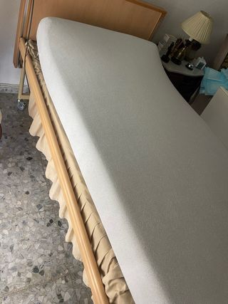 Cama Ortopédica Eléctrica