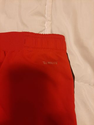 Pantalón Adidas Real Madrid Talla L.