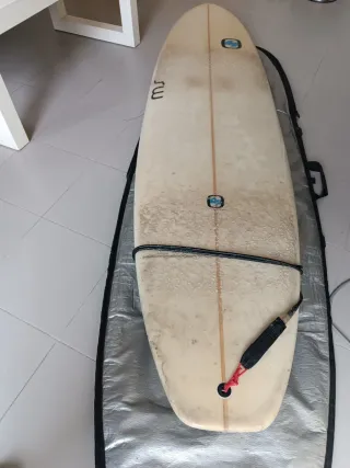 Tabla Surf MS Fat Elephant