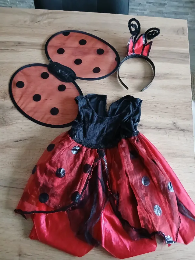 Disfraz Mariquita Hada 1-2A