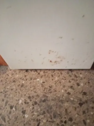 Frigorífico congelador oficina