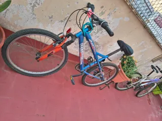 2 Bicicletas Montaña Topbike y boomerang