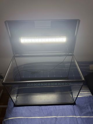 Pecera con luz LED