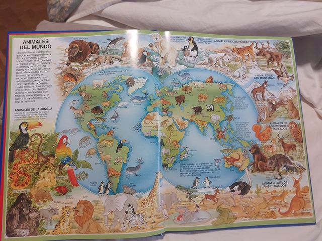 Atlas de los niños