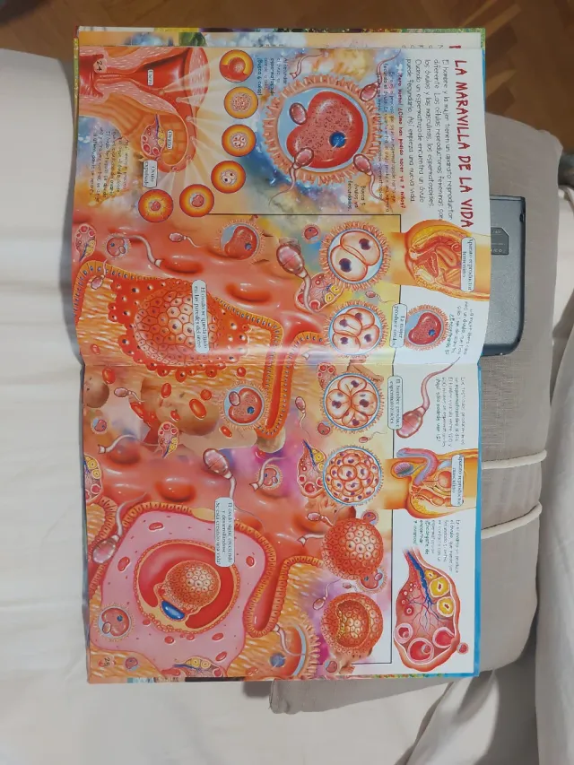 Busca en el cuerpo humano