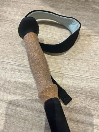 Bastones Trekking Black Diamond Pro FLZ