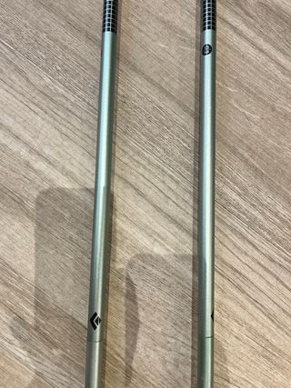 Bastones Trekking Black Diamond Pro FLZ