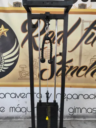 Polea de gimnasio