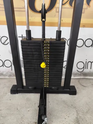 Polea de gimnasio