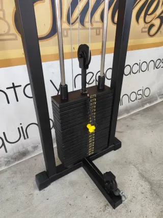 Polea de gimnasio