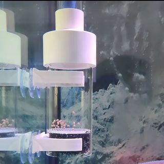 Paridera/incubadora Acuario Sin abrir