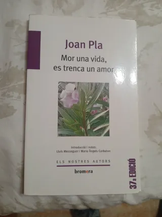 Mor una vida, es trenca un amor